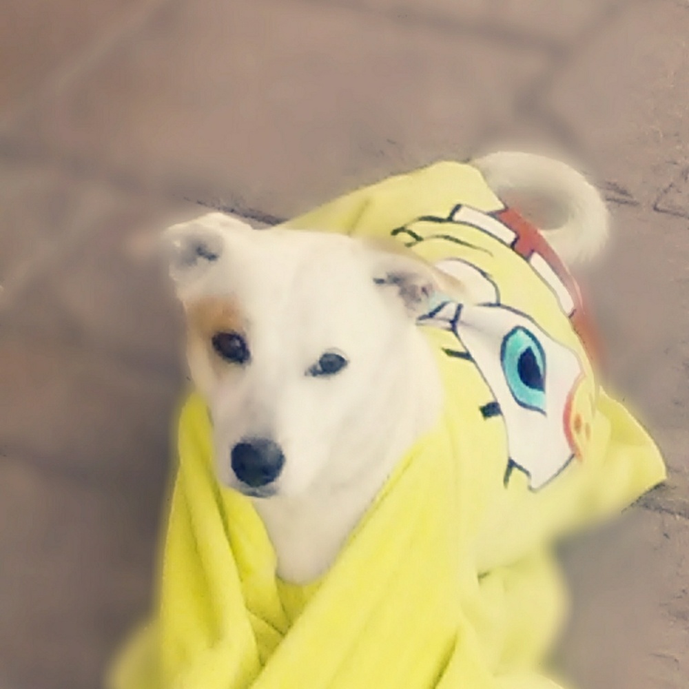 Meet your Posher, Jillian